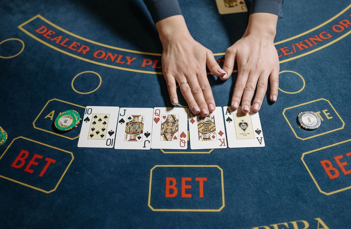 Fortune Dragon Live Betting